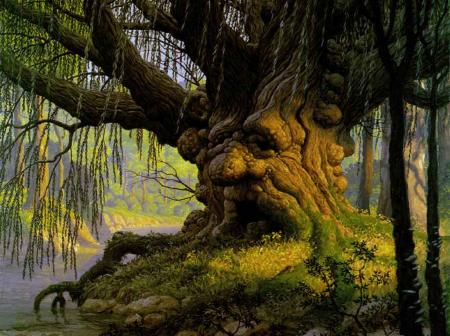 arbre